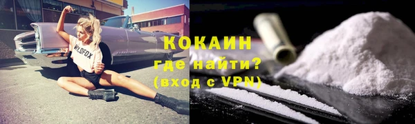 индика Михайлов