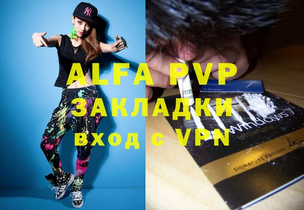 индика Михайлов